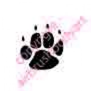 0211 paw print re-usable stencil